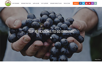 <h3>Top 10 Reasons To Go Organic</h3>
<p>Only organic guarantees no toxic persistent pesticides, synthetic fertilizers or GMOs…</p>
